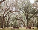 Stunning outdoor wedding ceremony beneath live oak trees. 